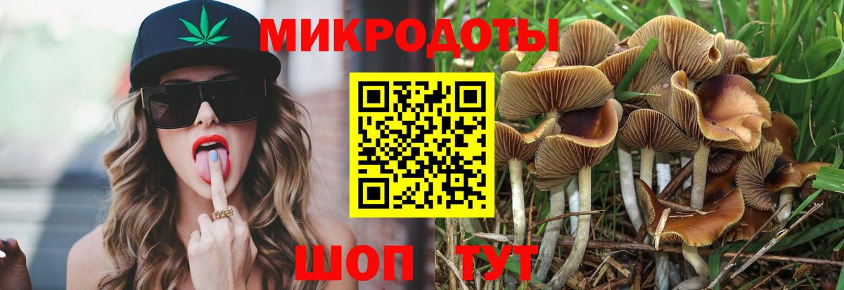 Белово  Галлюциногенные грибы прущие грибы  Вход с VPN  Псилоцибиновые грибы прущие грибы 
